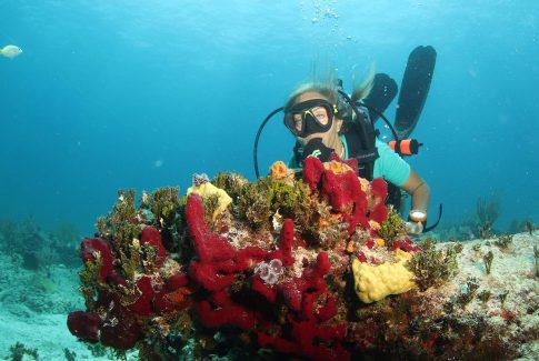 Bahamas Scuba diving